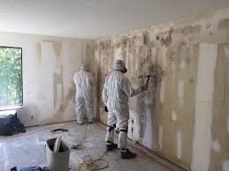 Best Air Quality Testing for Mold Spores  in Grandview, TX